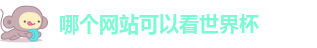 2026年年世界杯
